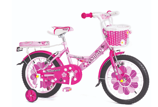 BIKE PRINCESS ROSA ARO 16