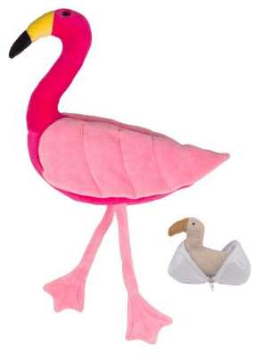 FLAMINGO GRAVIDA COM 1 FILHOTE