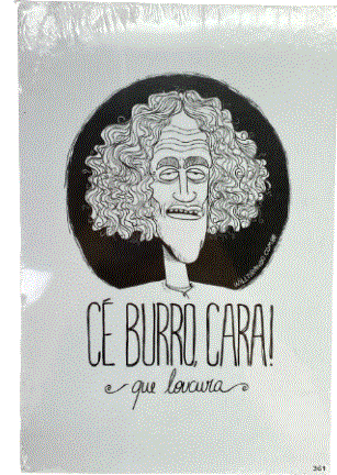 PLACA20X30 CE E BURRA CARA