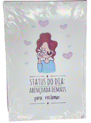 PLACA20X30 STATUS DO DIA