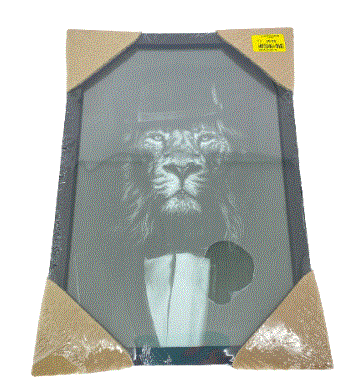 QUADRO CX 20X30 LEÃO