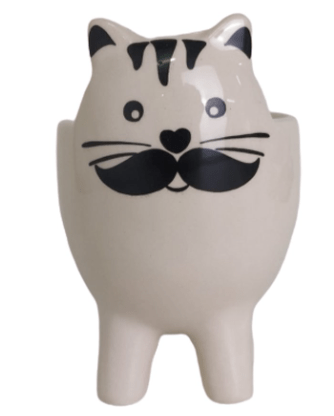 CACHEPOT GATO