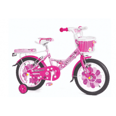 BIKE PRINCESS ROSA ARO 16