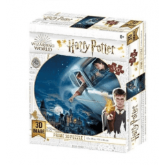 QUEBRA-CABECA 3D HARRY E RONY HARRY POTTER 300PCS