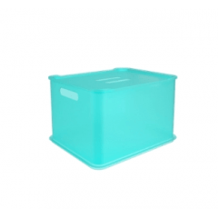 CESTA FIT ULTRA COM TAMPA VERDE ÁGUA