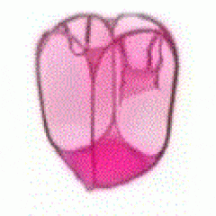 CESTO MULT. DOBRAVEL 29 X 50 ROSA